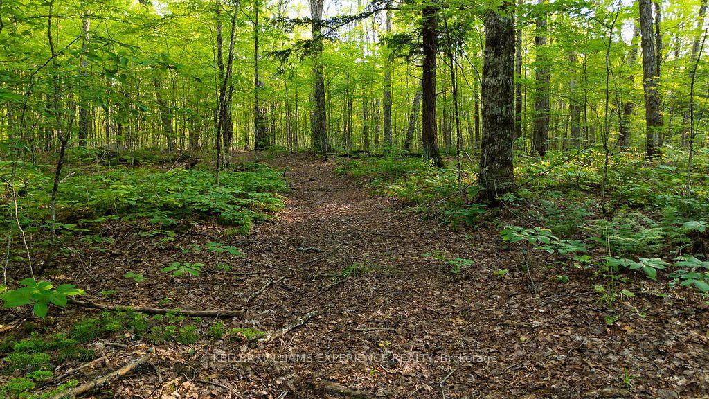 Photo 27 of 2101 Ahmic Lake Road, Magnetawan — HOMEH
