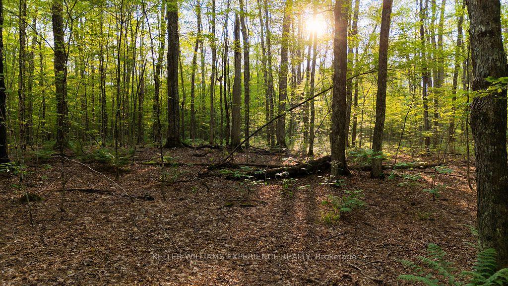 Photo 28 of 2101 Ahmic Lake Road, Magnetawan — HOMEH