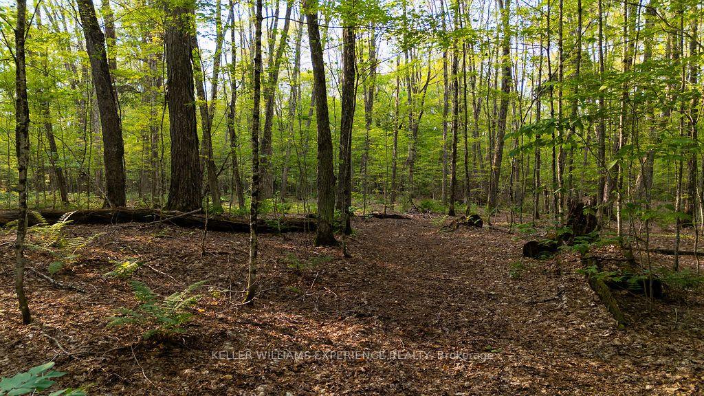 Photo 29 of 2101 Ahmic Lake Road, Magnetawan — HOMEH