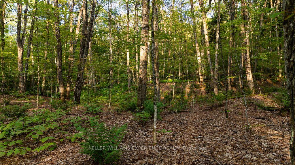 Photo 30 of 2101 Ahmic Lake Road, Magnetawan — HOMEH