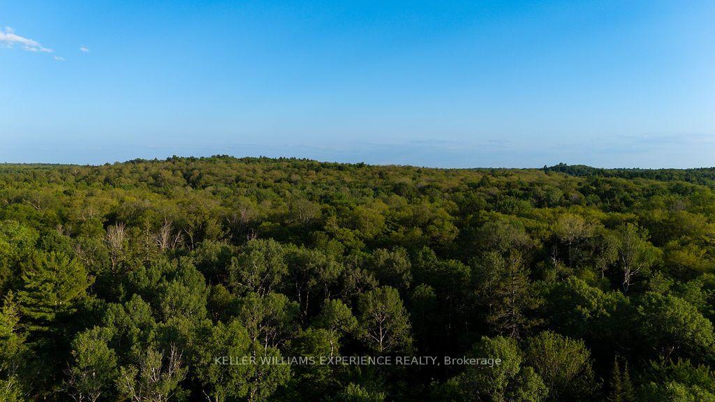 Photo 31 of 2101 Ahmic Lake Road, Magnetawan — HOMEH