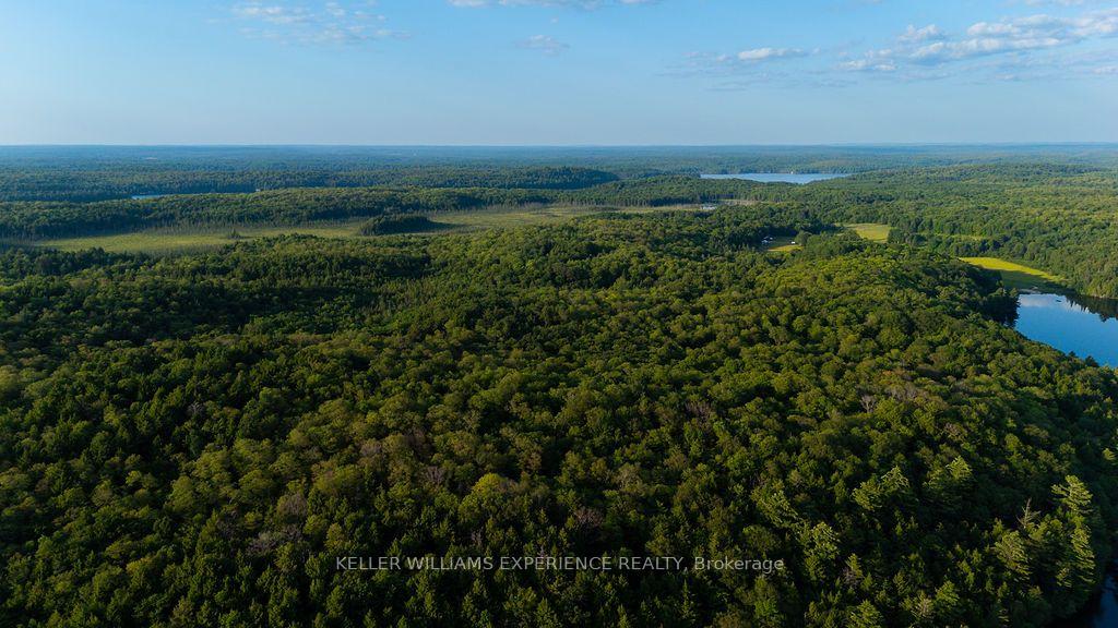 Photo 34 of 2101 Ahmic Lake Road, Magnetawan — HOMEH