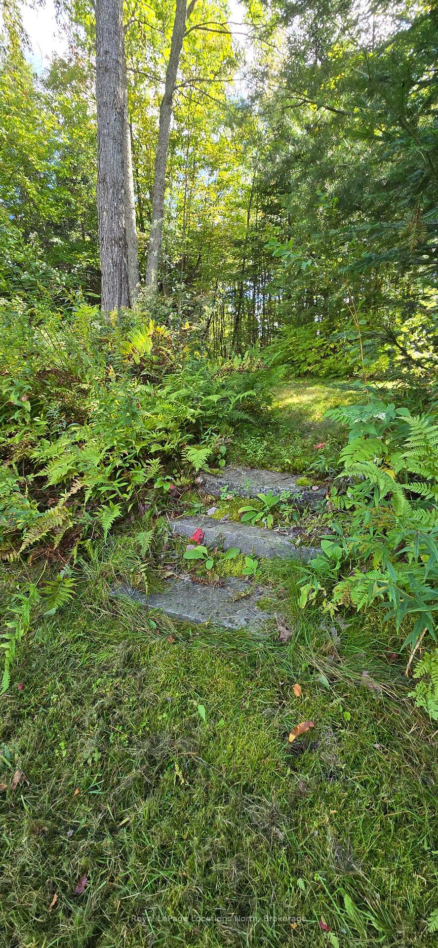 Photo 44 of 64 Yearley Road, McMurrich/Monteith, Sprucedale — HOMEH