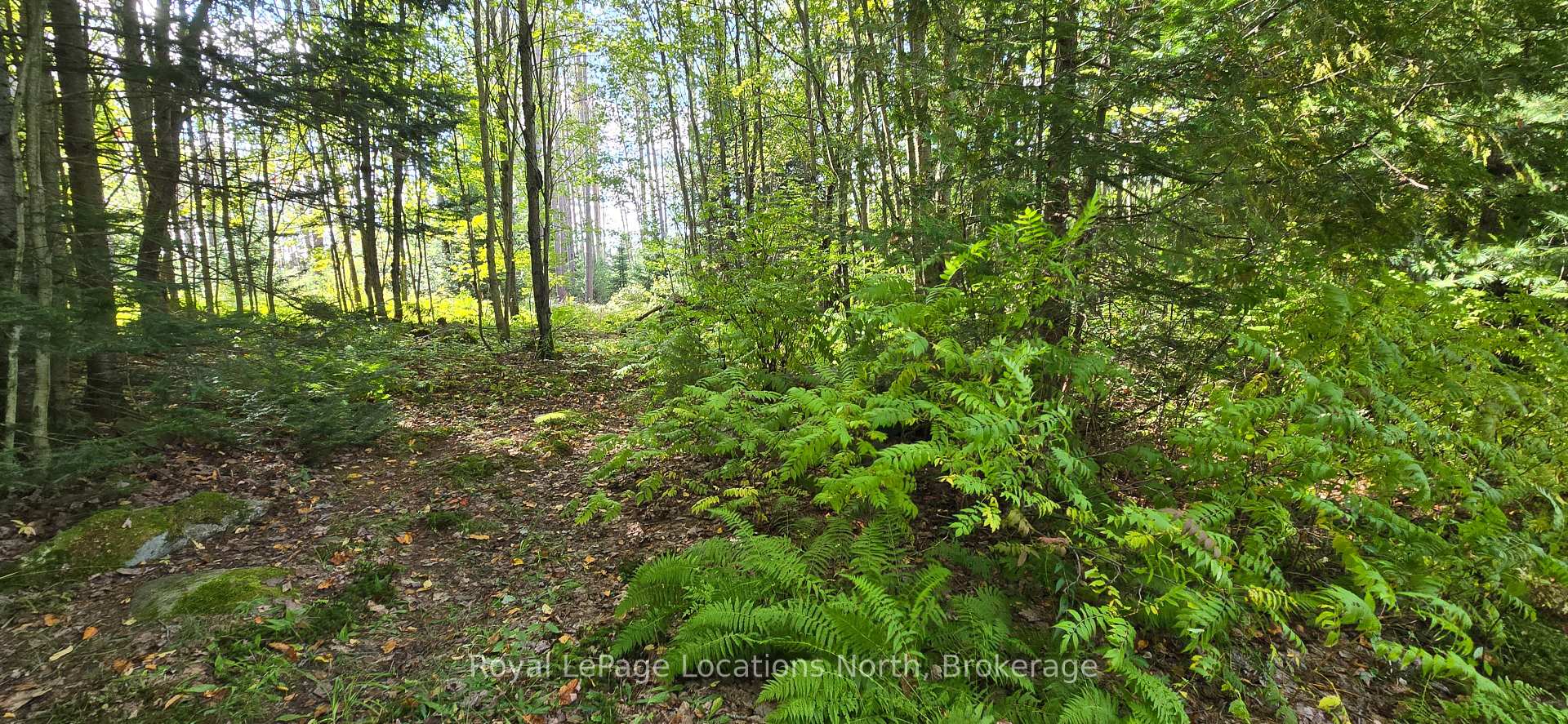 Photo 46 of 64 Yearley Road, McMurrich/Monteith, Sprucedale — HOMEH