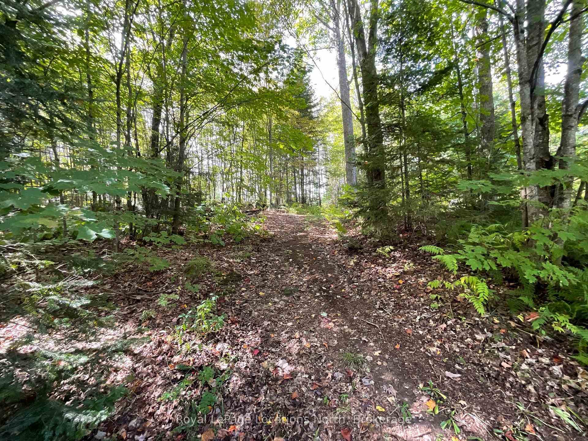 Photo 47 of 64 Yearley Road, McMurrich/Monteith, Sprucedale — HOMEH