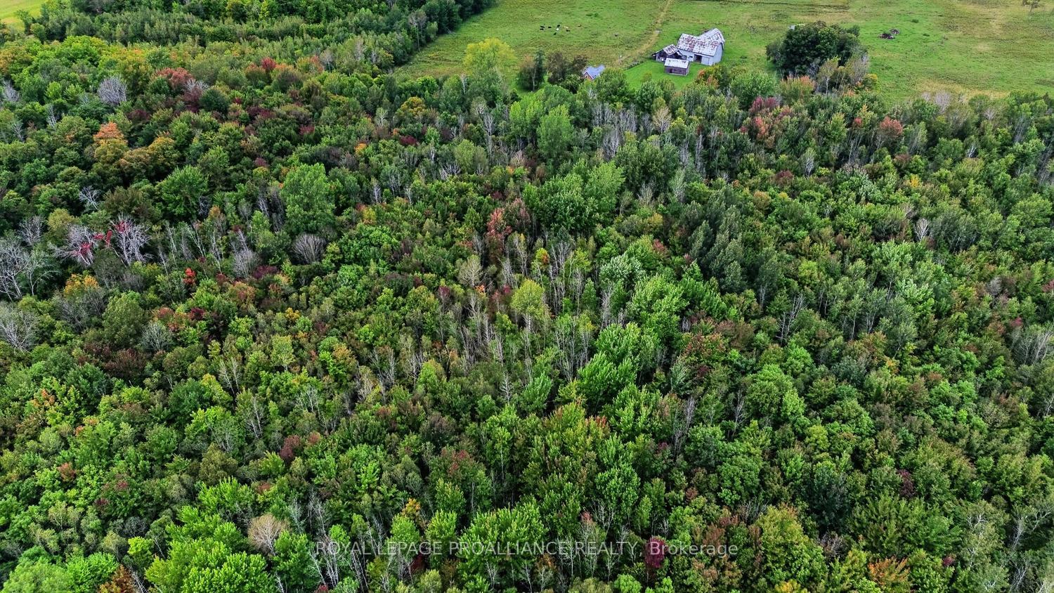 Photo 3 of Kain Road, Edwardsburgh/Cardinal, Edwardsburgh/Cardinal Twp — HOMEH