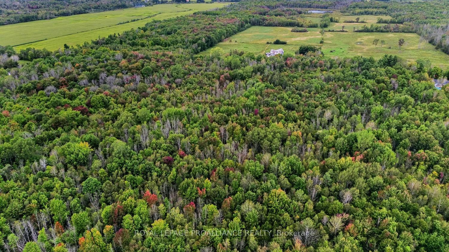 Photo 4 of Kain Road, Edwardsburgh/Cardinal, Edwardsburgh/Cardinal Twp — HOMEH