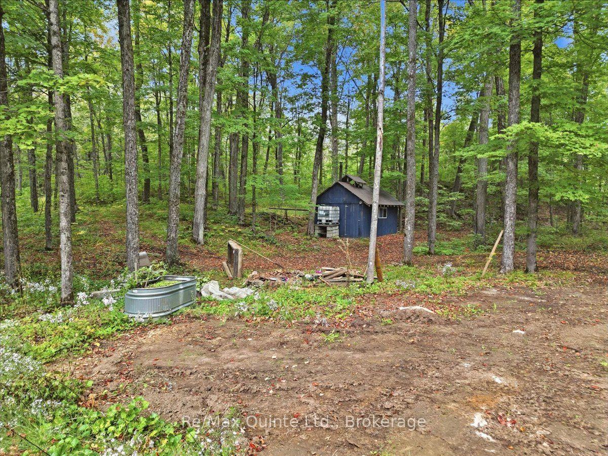 Photo 39 of 578 Old Apsley Road, North Kawartha — HOMEH