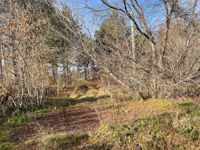 Photo 3 of 3678 McCarthy Drive, Clearview, Rural Clearview — HOMEH