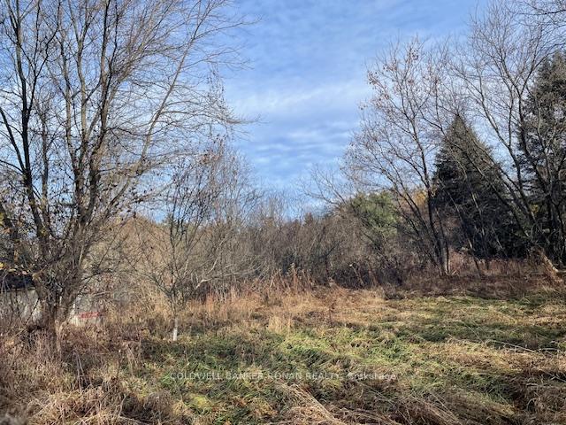 Photo 4 of 3678 McCarthy Drive, Clearview, Rural Clearview — HOMEH