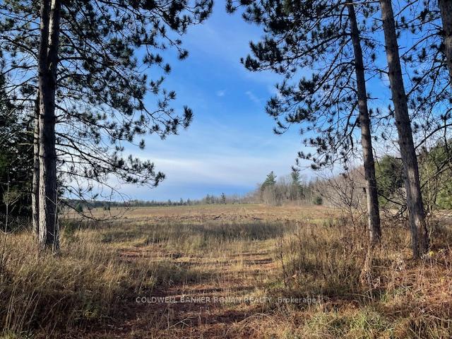 Photo 5 of 3678 McCarthy Drive, Clearview, Rural Clearview — HOMEH