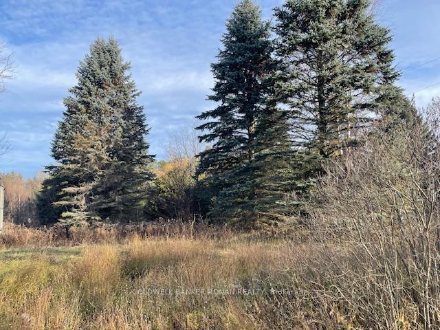 Photo 6 of 3678 McCarthy Drive, Clearview, Rural Clearview — HOMEH