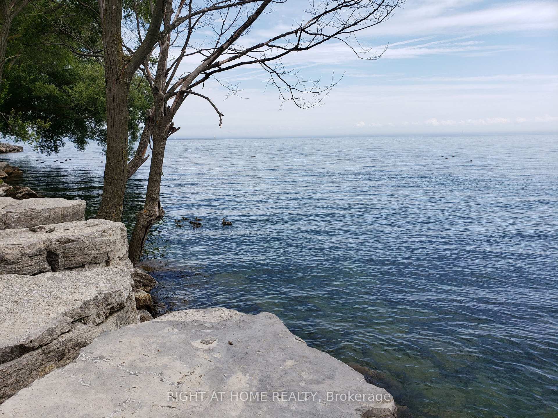 Photo 6 of Unit 105, 2 Royal York Road, Etobicoke, Mimico — HOMEH
