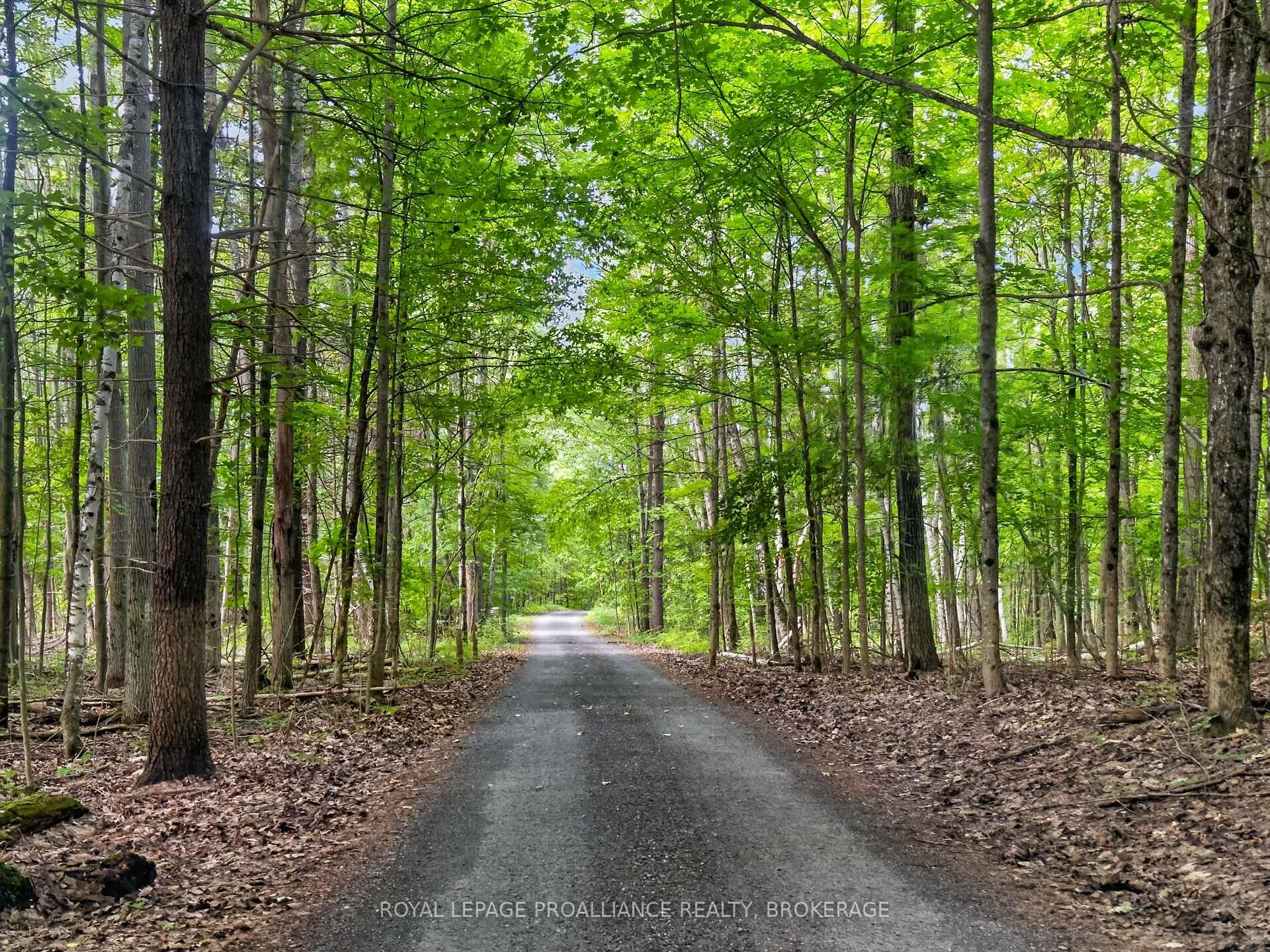 Photo 47 of 1167 Desert Point Lane, Frontenac, Frontenac South — HOMEH