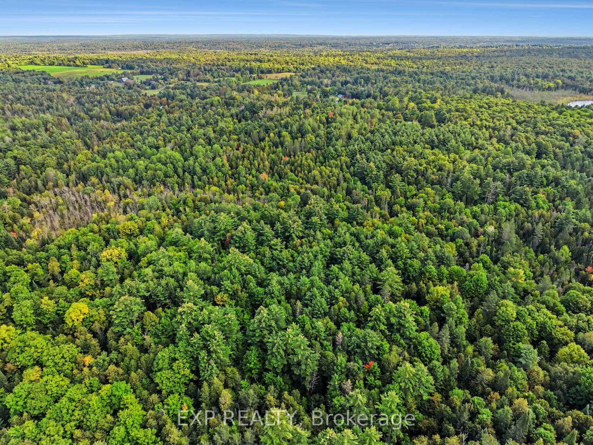 Photo 6 of 1579 Darling Road, Lanark Highlands, Lanark Highlands (Lanark) Twp — HOMEH