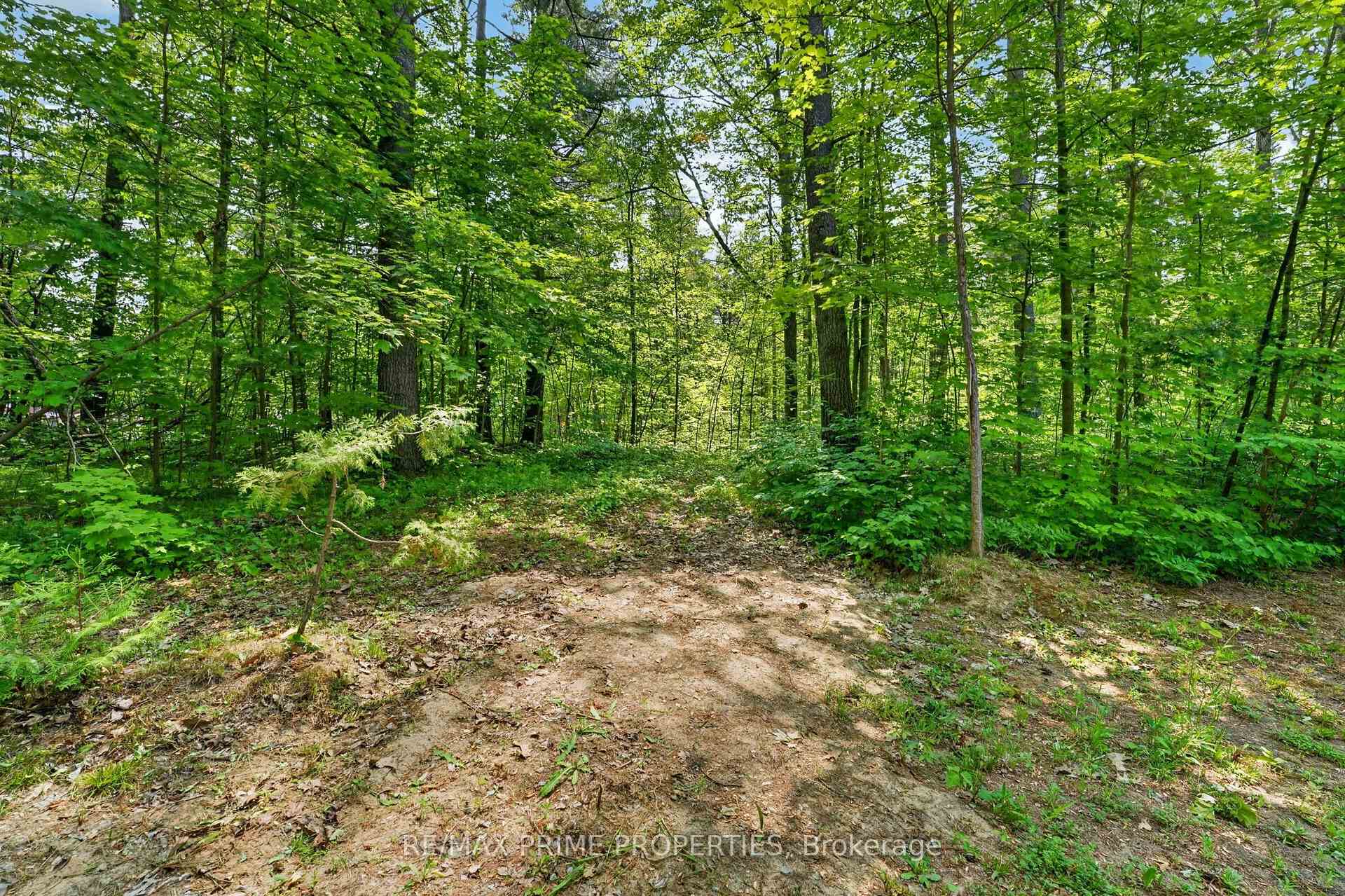 Photo 37 of 133 Stanley Road, Kawartha Lakes, Woodville — HOMEH