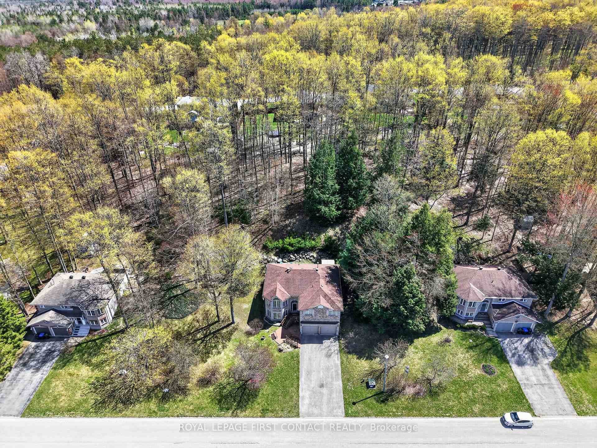 Photo 15 of 23 McFadden Drive, Springwater, Hillsdale — HOMEH