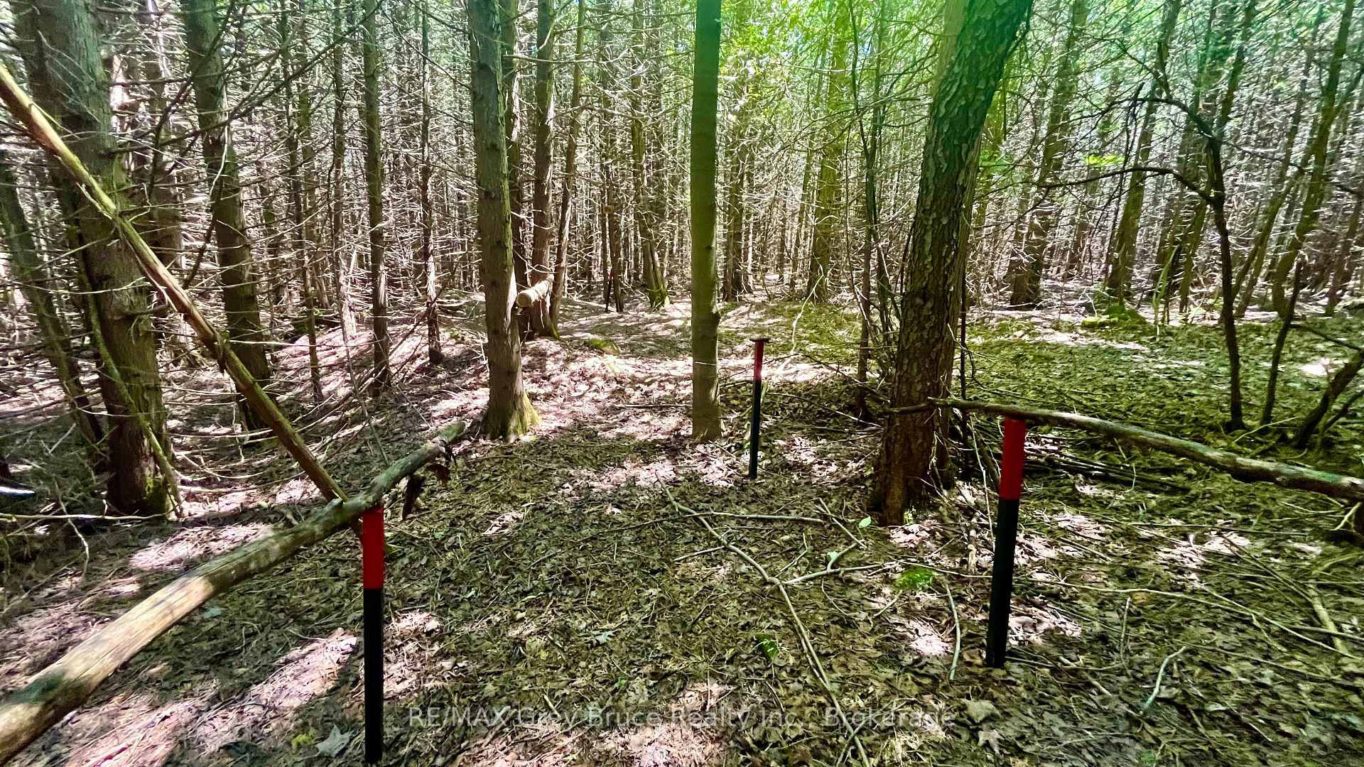 Photo 10 of 255263 1 Concession, Chatsworth — HOMEH