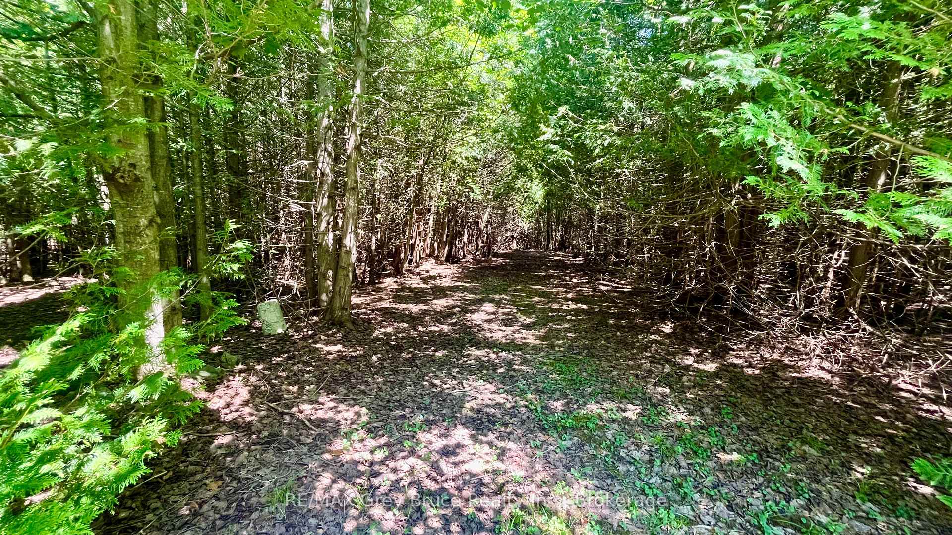 Photo 12 of 255263 1 Concession, Chatsworth — HOMEH