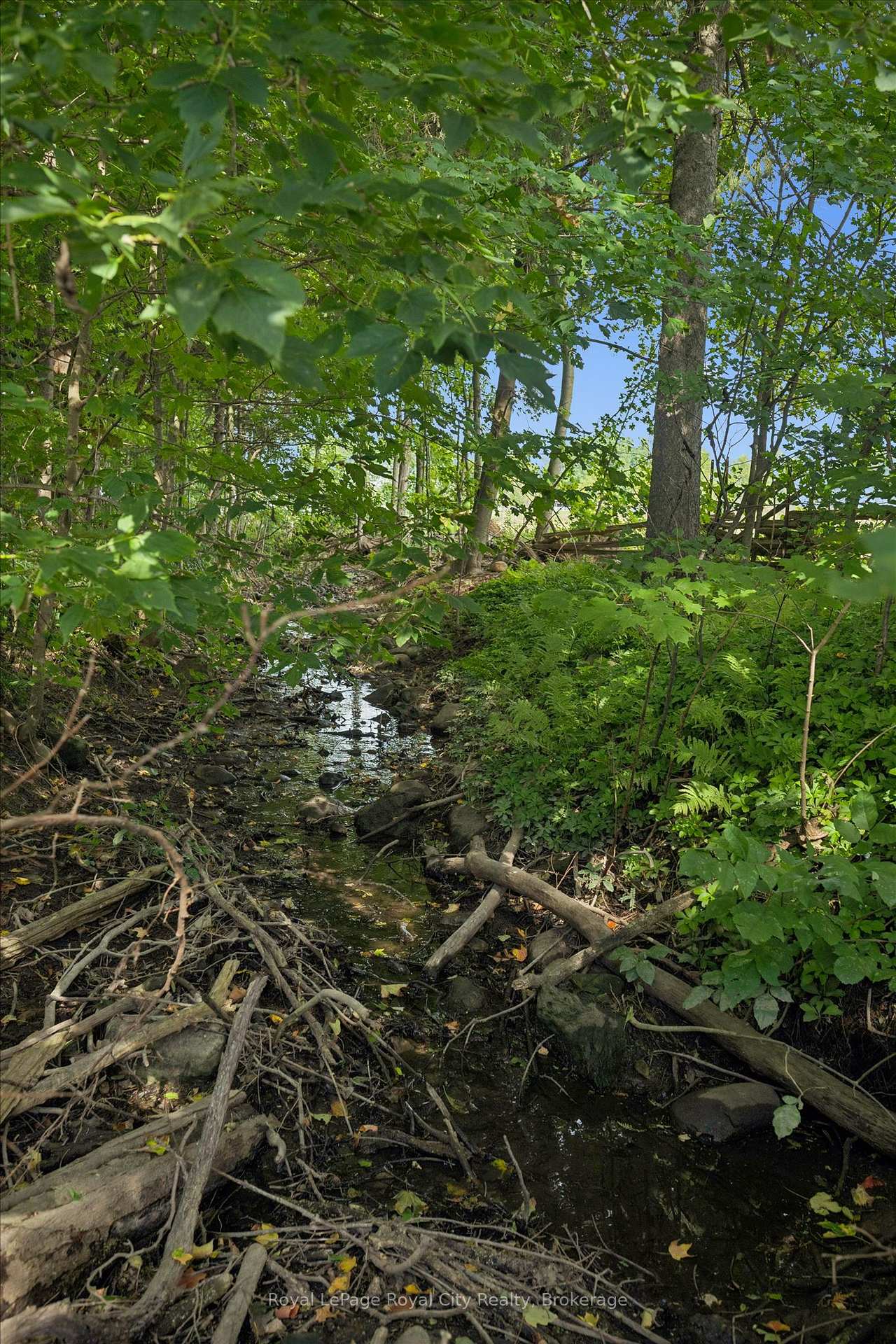 Photo 24 of 5512 Township Rd 3, Guelph/Eramosa, Rural Guelph/Eramosa West — HOMEH