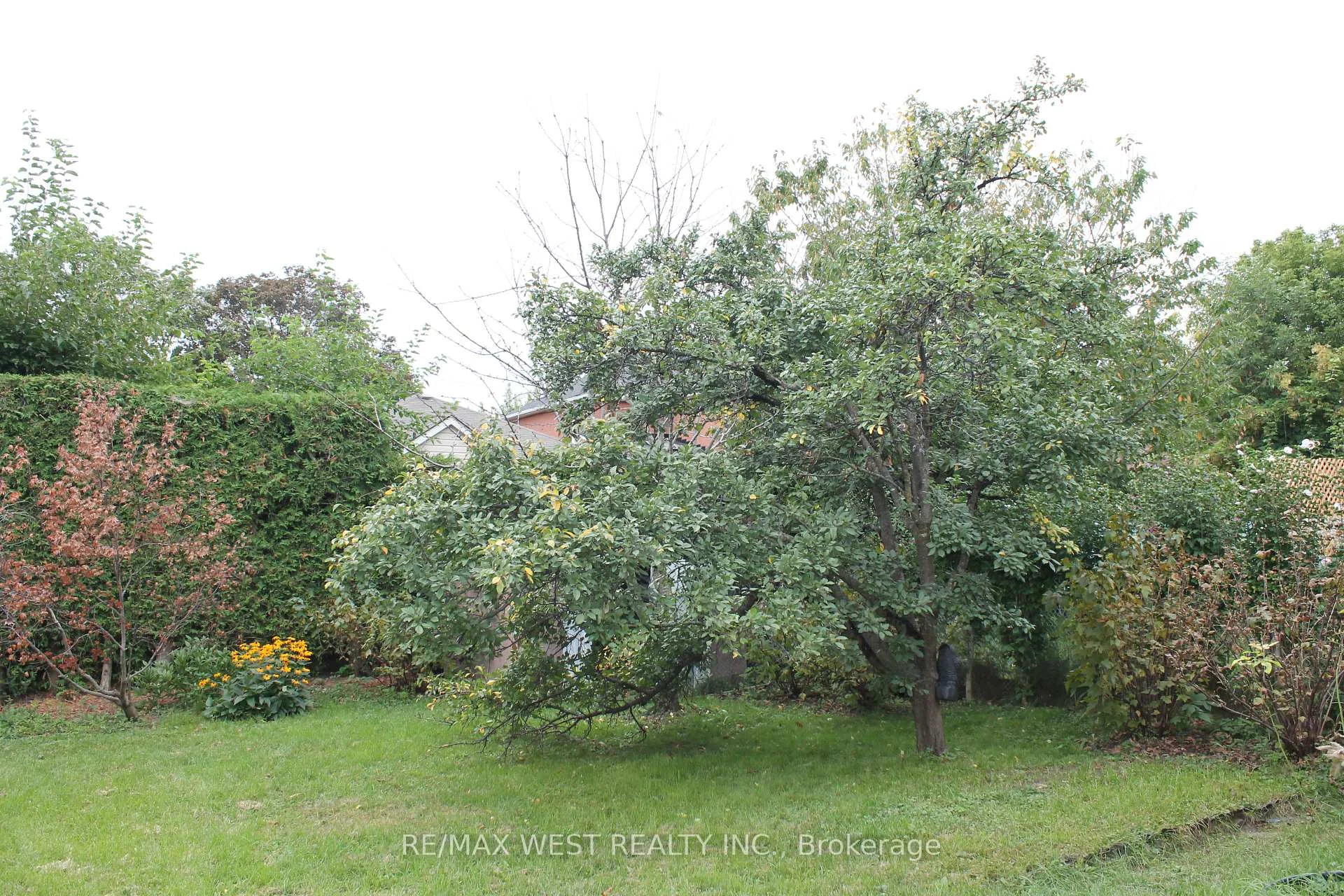 Photo 50 of Unit Main, 14 Treeview Drive, Etobicoke, Alderwood — HOMEH