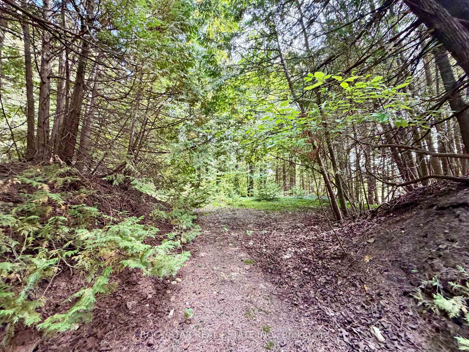 Photo 31 of 713467 1st Line Ehs, Mono, Rural Mono — HOMEH