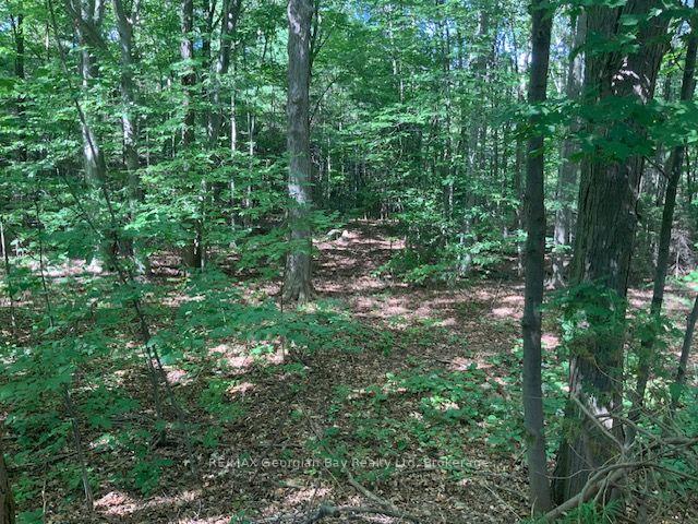 Photo 21 of 9513 County Rd 93 NE, Midland — HOMEH