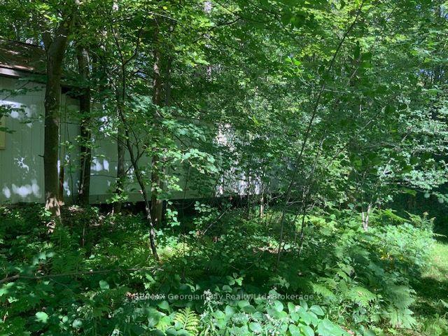 Photo 27 of 9513 County Rd 93 NE, Midland — HOMEH