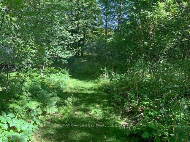 Photo 28 of 9513 County Rd 93 NE, Midland — HOMEH