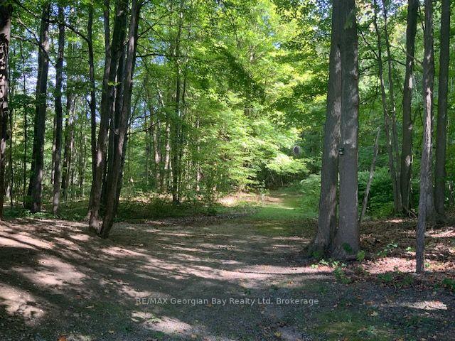 Photo 29 of 9513 County Rd 93 NE, Midland — HOMEH