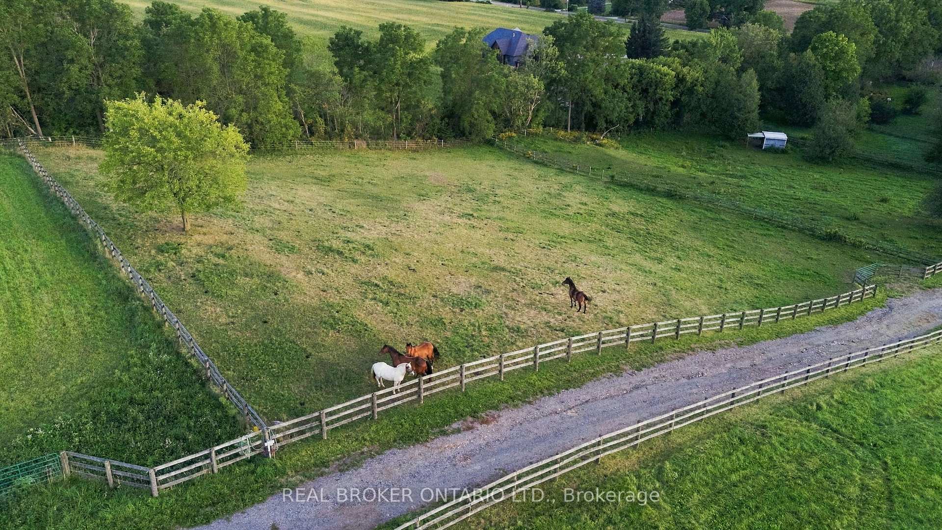 Photo 7 of 1694 Centre Rd, Hamilton, Rural Flamborough — HOMEH