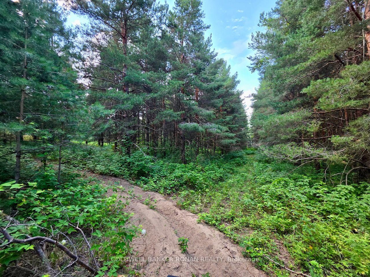 Photo 39 of 3430 Concession 3 S, Clearview, Rural Clearview — HOMEH