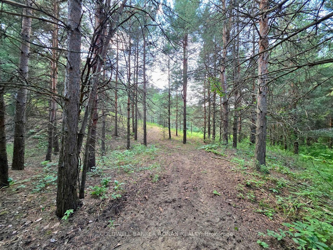 Photo 40 of 3430 Concession 3 S, Clearview, Rural Clearview — HOMEH