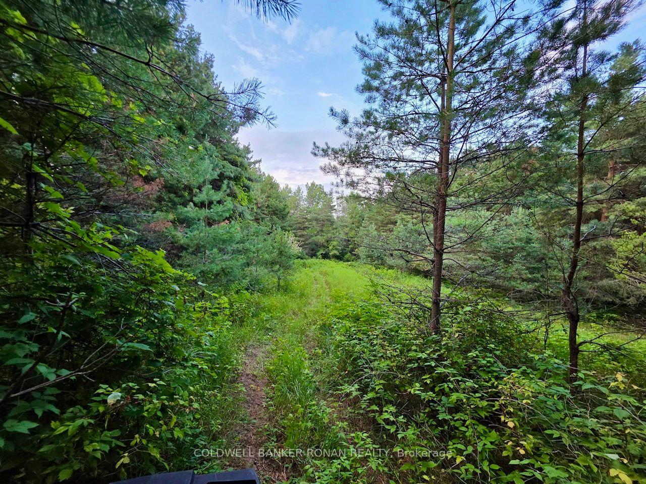 Photo 41 of 3430 Concession 3 S, Clearview, Rural Clearview — HOMEH