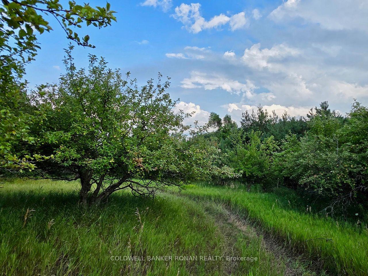 Photo 43 of 3430 Concession 3 S, Clearview, Rural Clearview — HOMEH