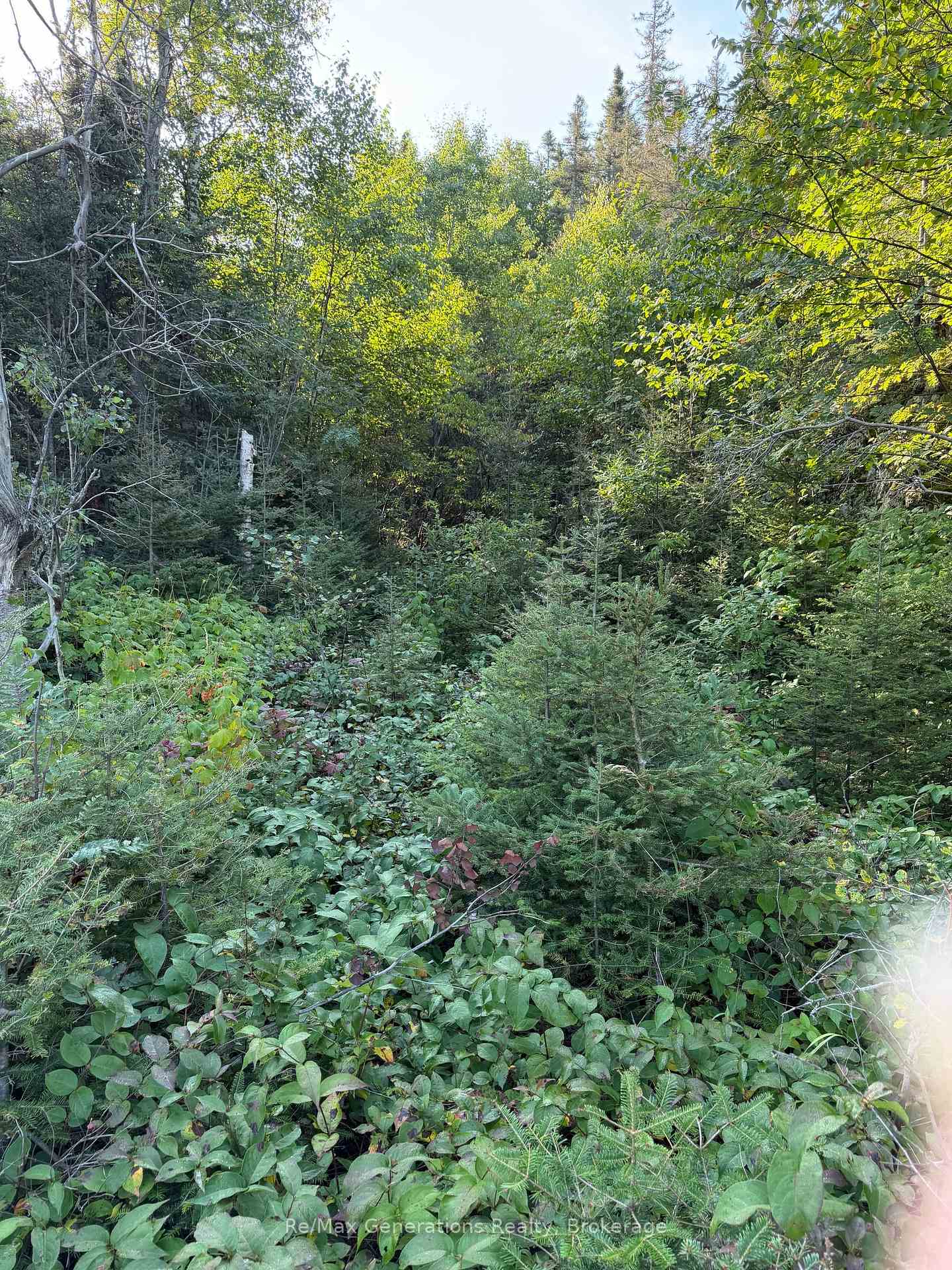 Photo 3 of Off Hwy 17 S, Schreiber — HOMEH