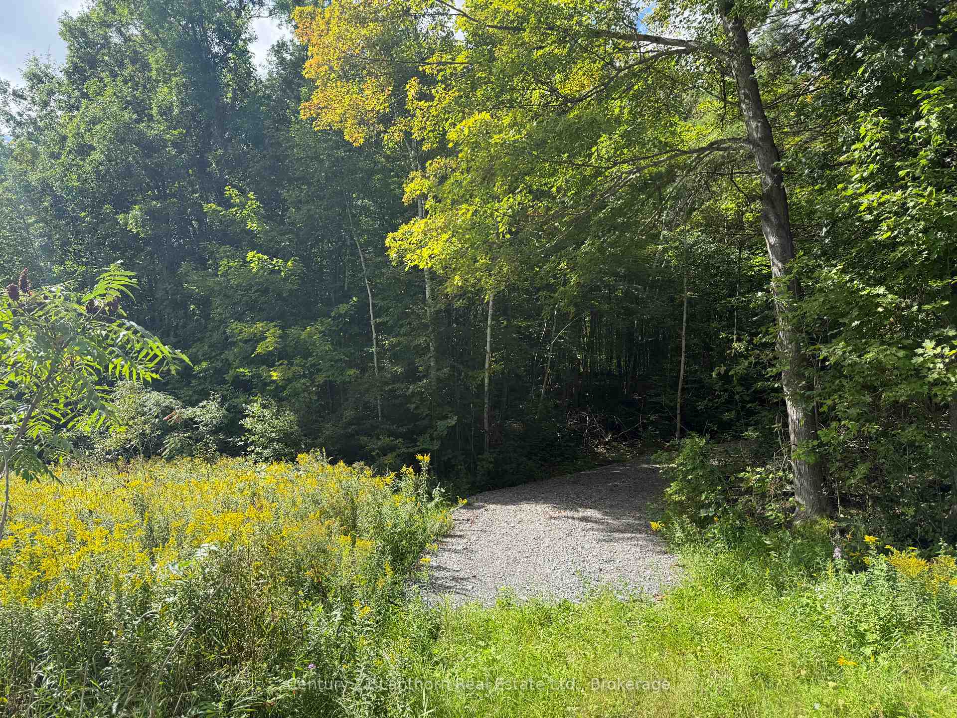 Photo of 00 South Lot Highway 62