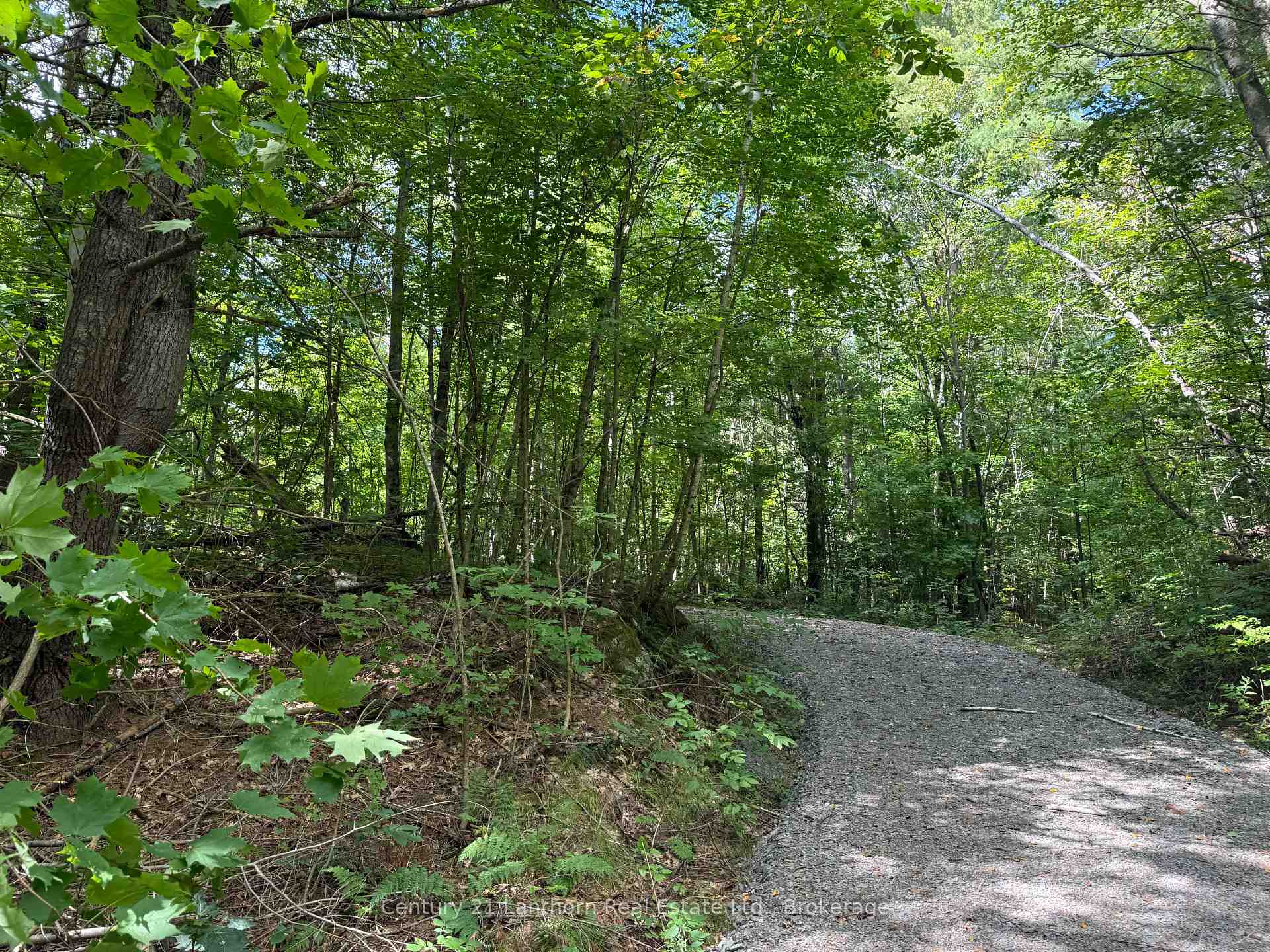 Photo 3 of 00 South Lot Highway 62, Madoc — HOMEH