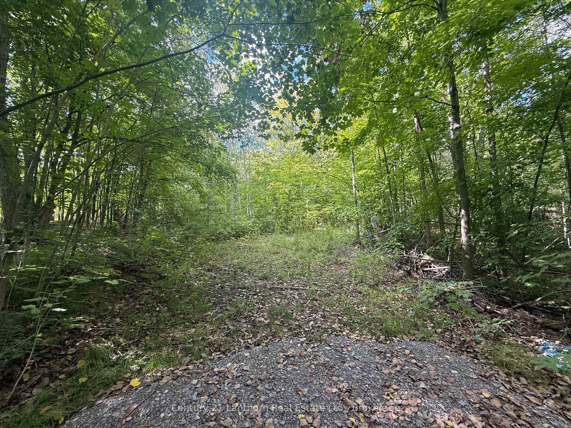 Photo 4 of 00 South Lot Highway 62, Madoc — HOMEH