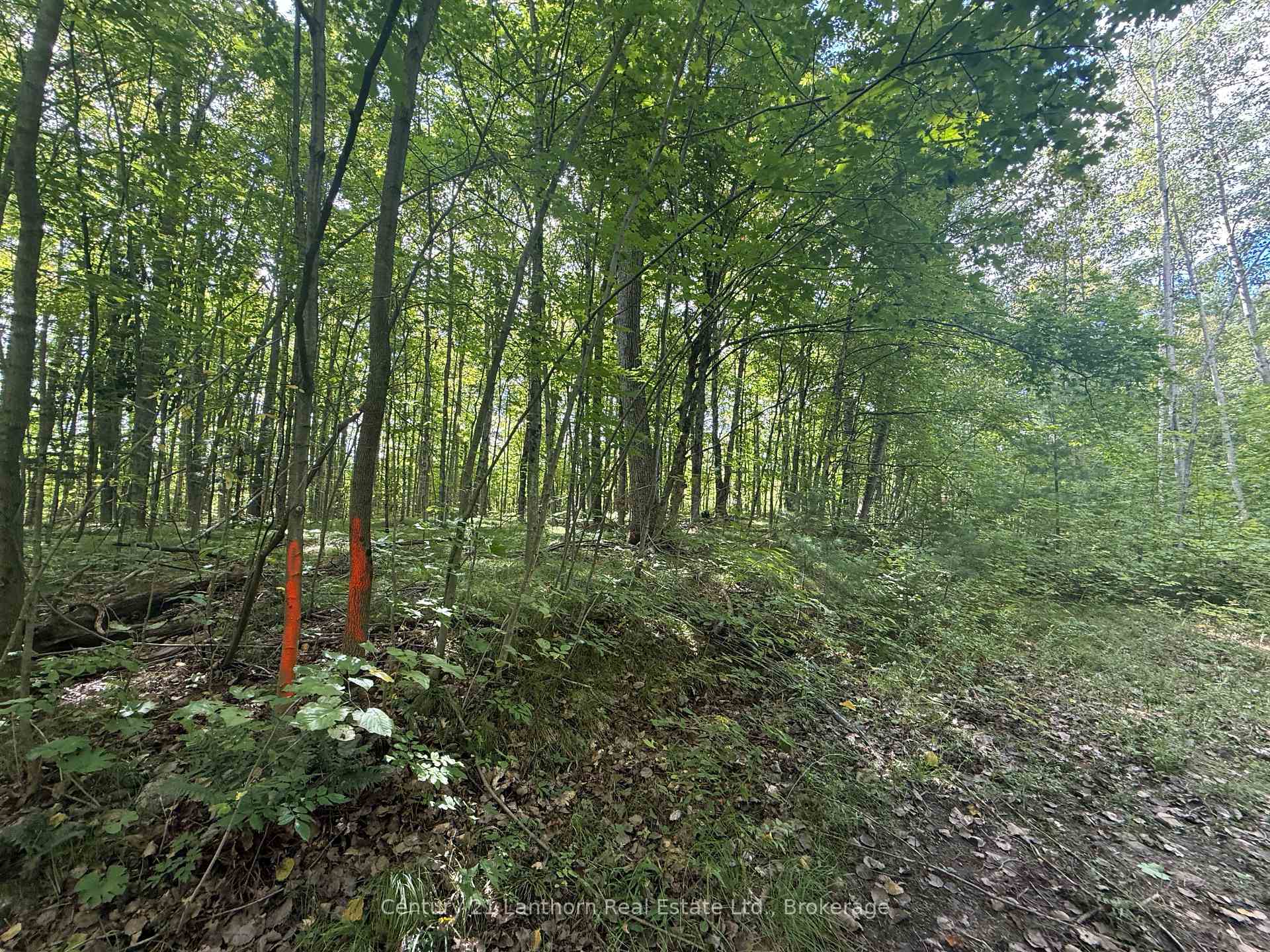 Photo 5 of 00 South Lot Highway 62, Madoc — HOMEH