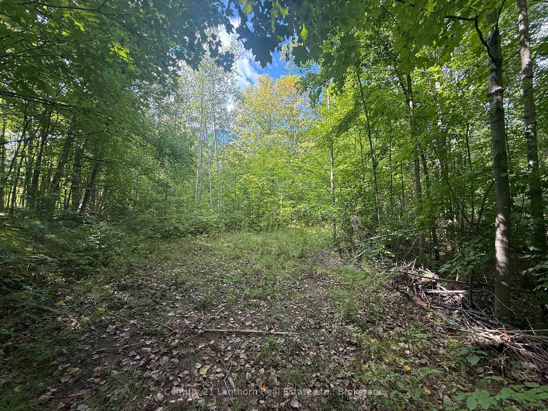 Photo 6 of 00 South Lot Highway 62, Madoc — HOMEH