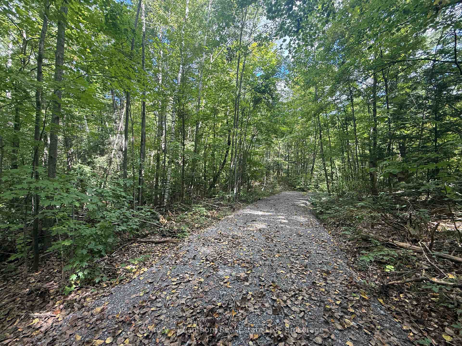 Photo 7 of 00 South Lot Highway 62, Madoc — HOMEH