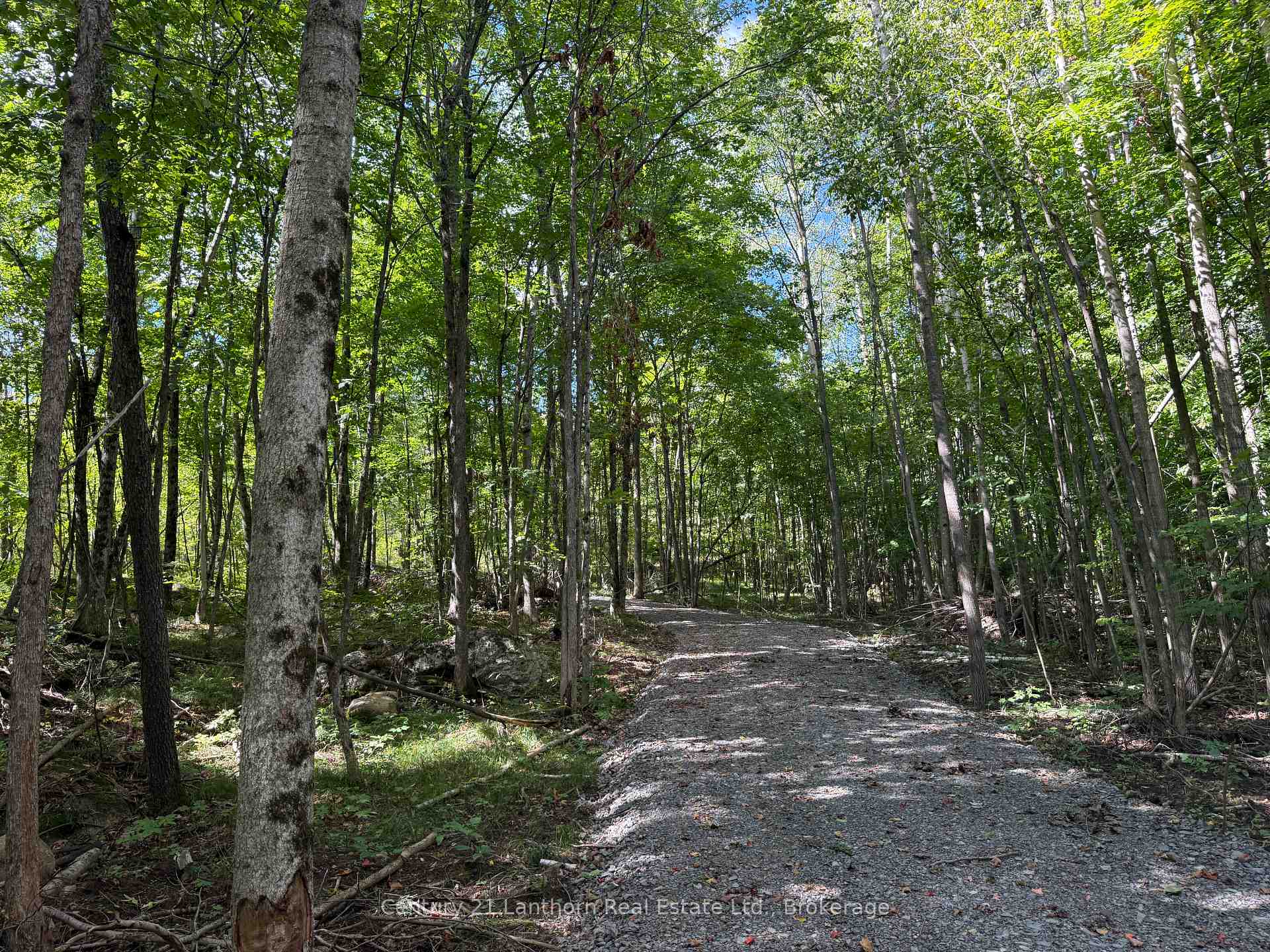 Photo of 00 Middle Lot Highway 62
