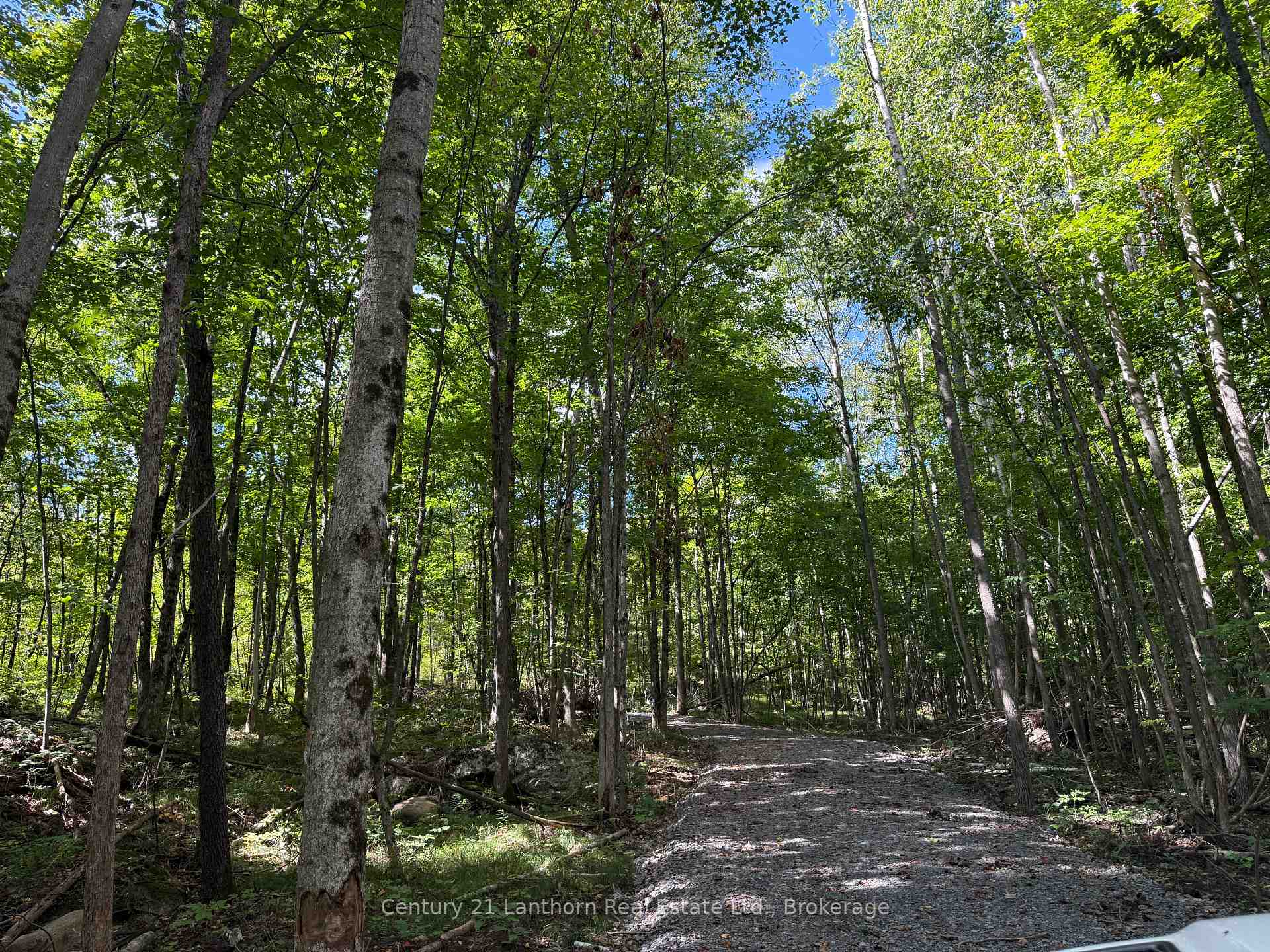 Photo 2 of 00 Middle Lot Highway 62, Madoc — HOMEH