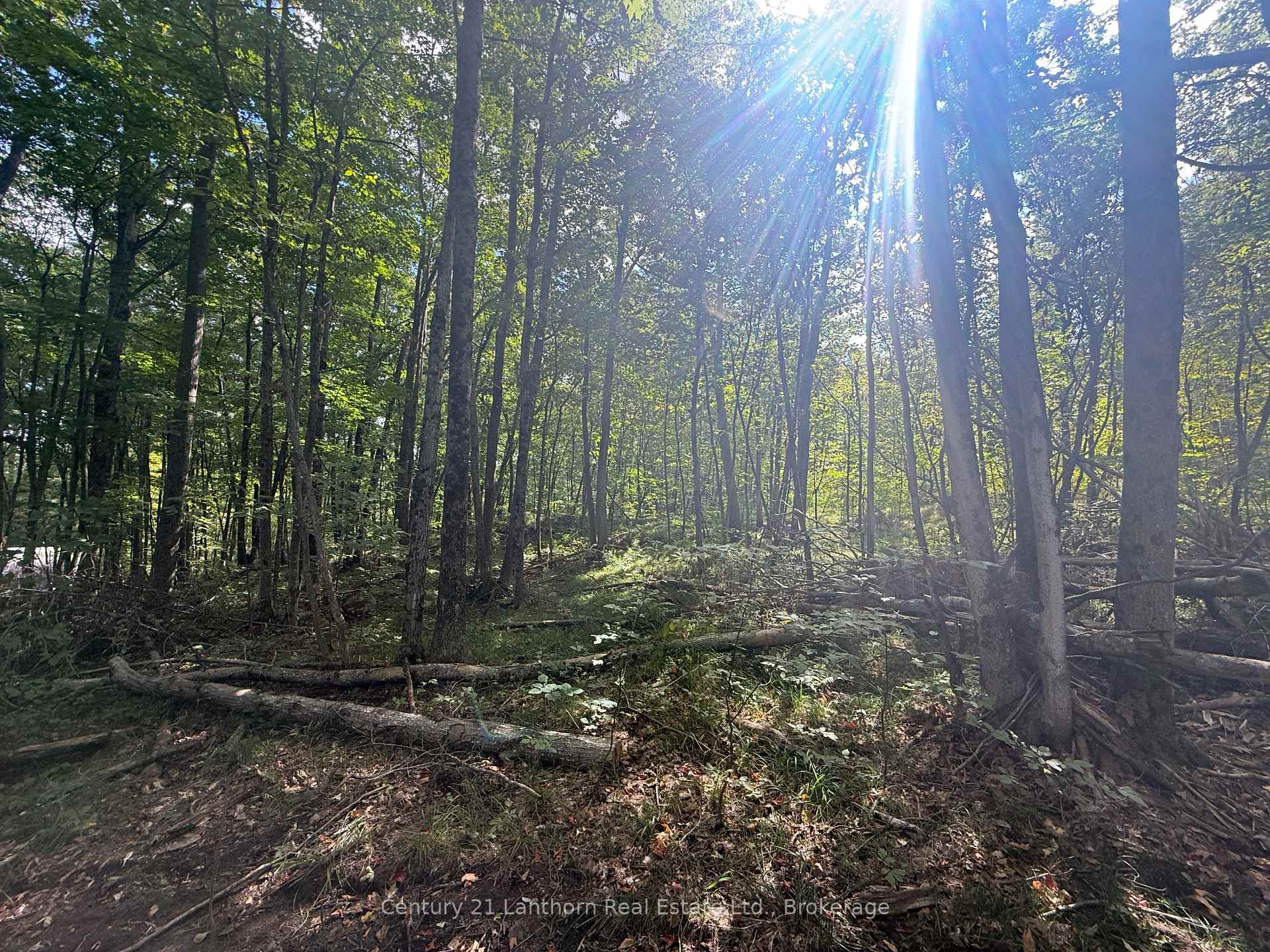 Photo 3 of 00 Middle Lot Highway 62, Madoc — HOMEH