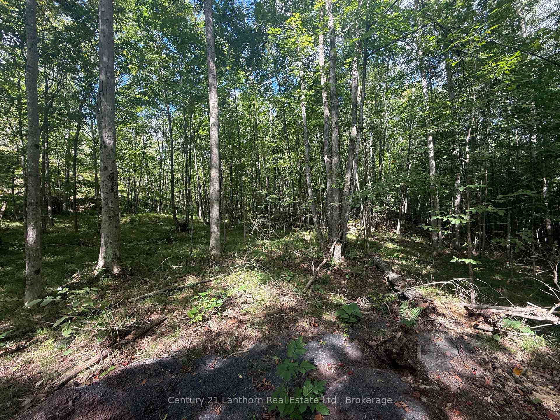 Photo 4 of 00 Middle Lot Highway 62, Madoc — HOMEH