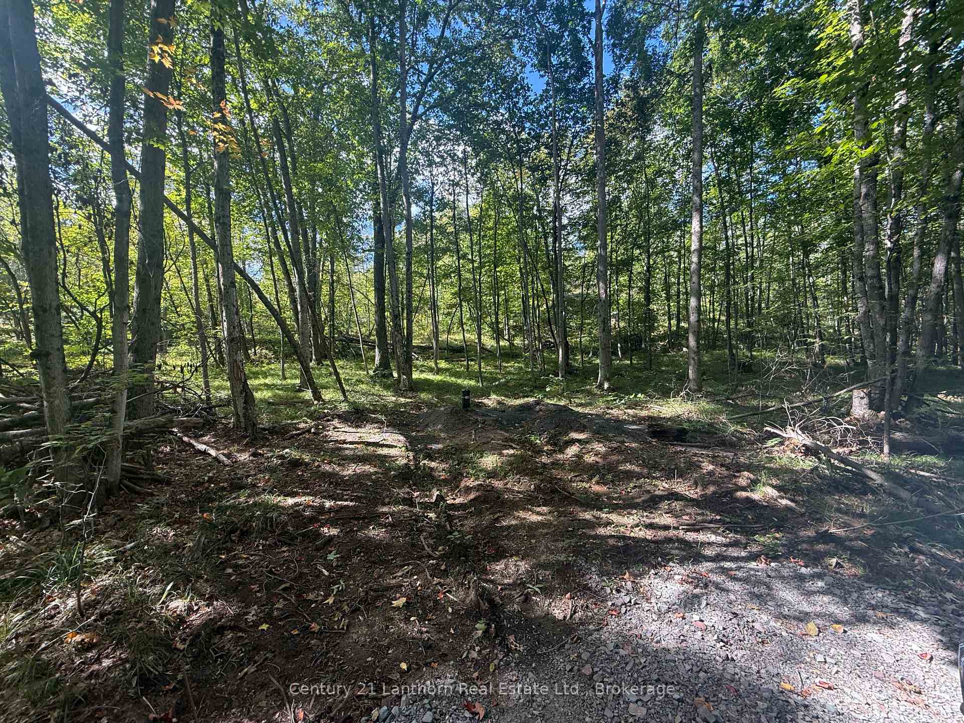 Photo 6 of 00 Middle Lot Highway 62, Madoc — HOMEH