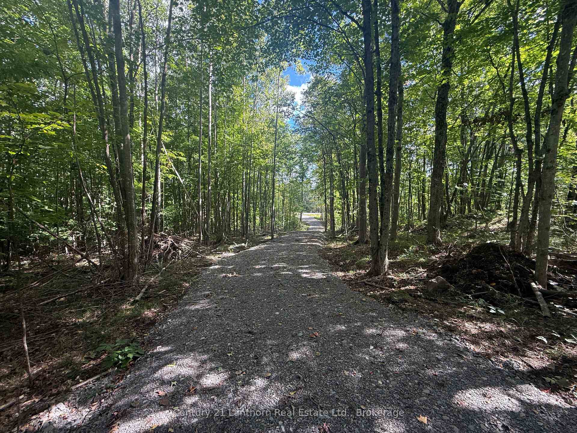 Photo 7 of 00 Middle Lot Highway 62, Madoc — HOMEH