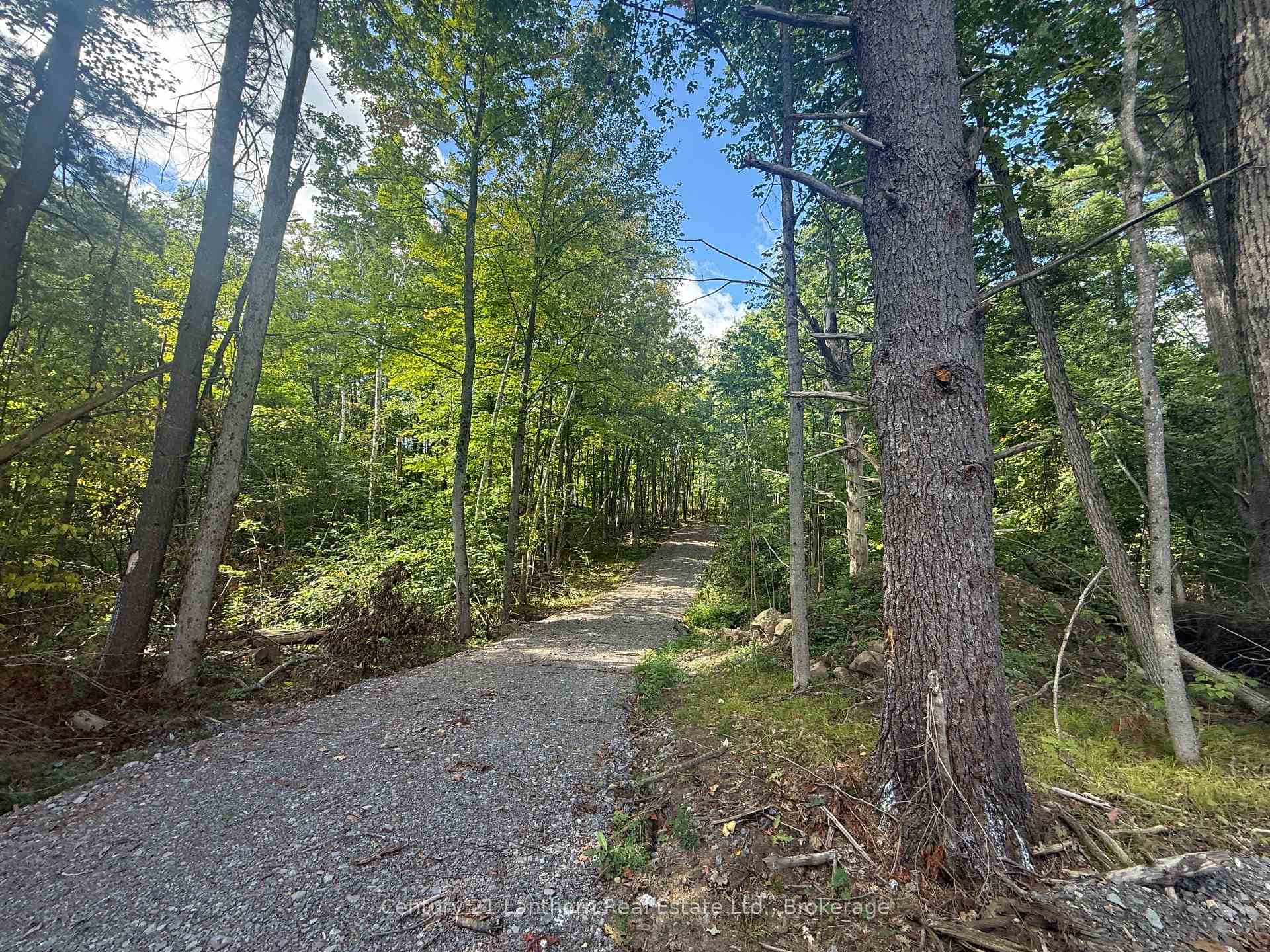 Photo 8 of 00 Middle Lot Highway 62, Madoc — HOMEH