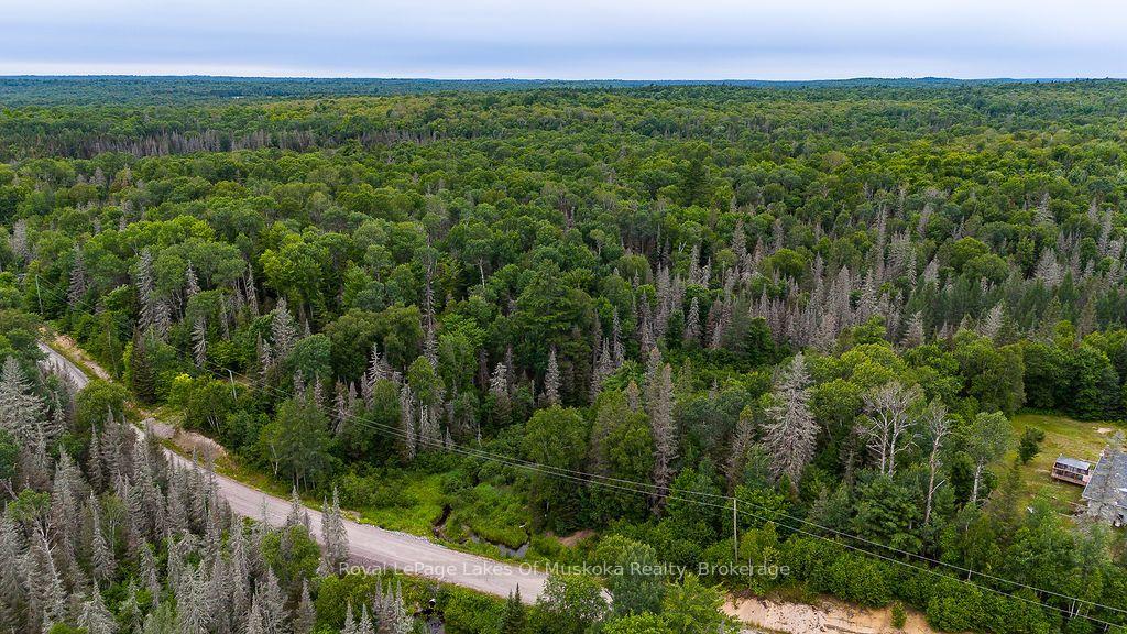 Photo 2 of 286 Halls Road E, Magnetawan — HOMEH